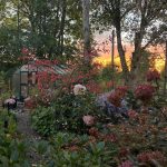 Sonnenuntergang im Englischen Garten