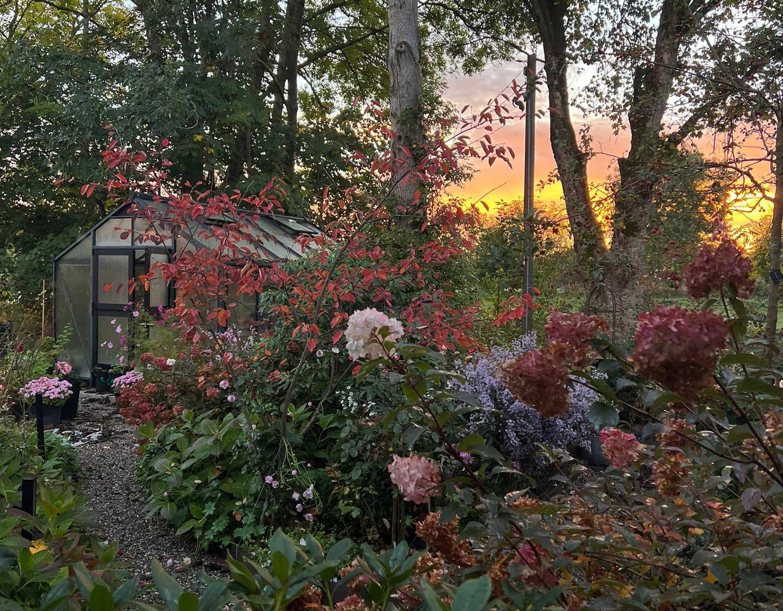 Sonnenuntergang im Englischen Garten