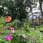 Gewächshaus und Hochbeete im Englischen Garten