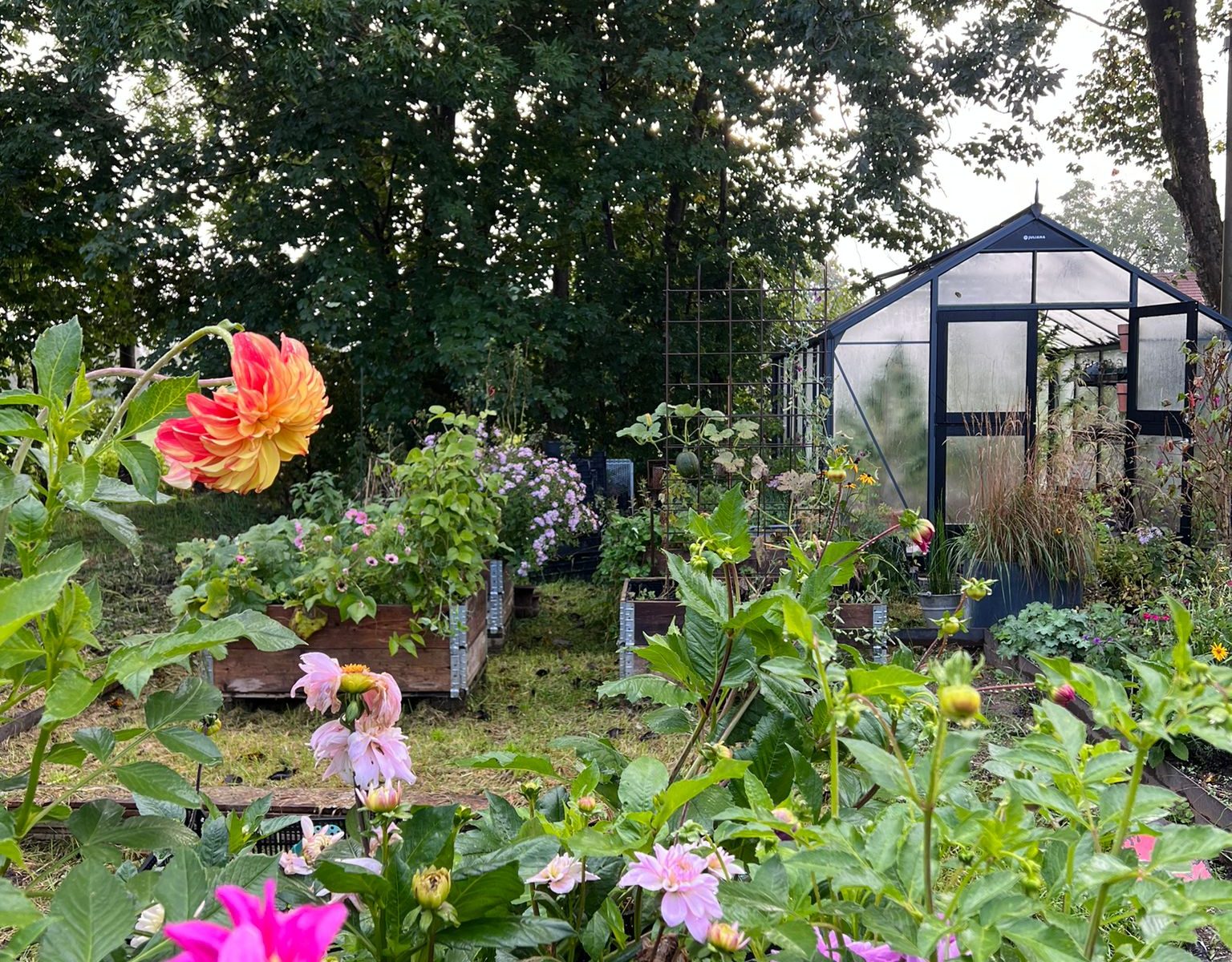 Gewächshaus und Hochbeete im Englischen Garten