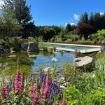 Übergang vom Biotop zum Swimmingpool in einem der schönsten Privatgärten im Jahr 2023